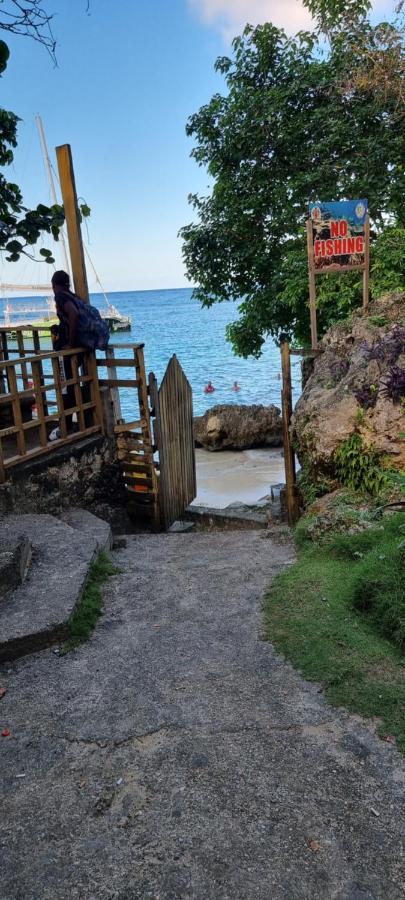 Komfort Getaway Villa At Countrymist Ocho Rios Eksteriør bilde