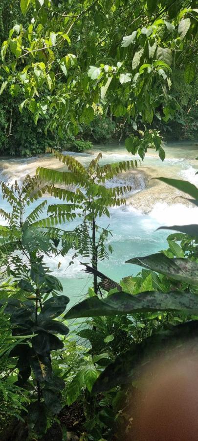 Komfort Getaway Villa At Countrymist Ocho Rios Eksteriør bilde