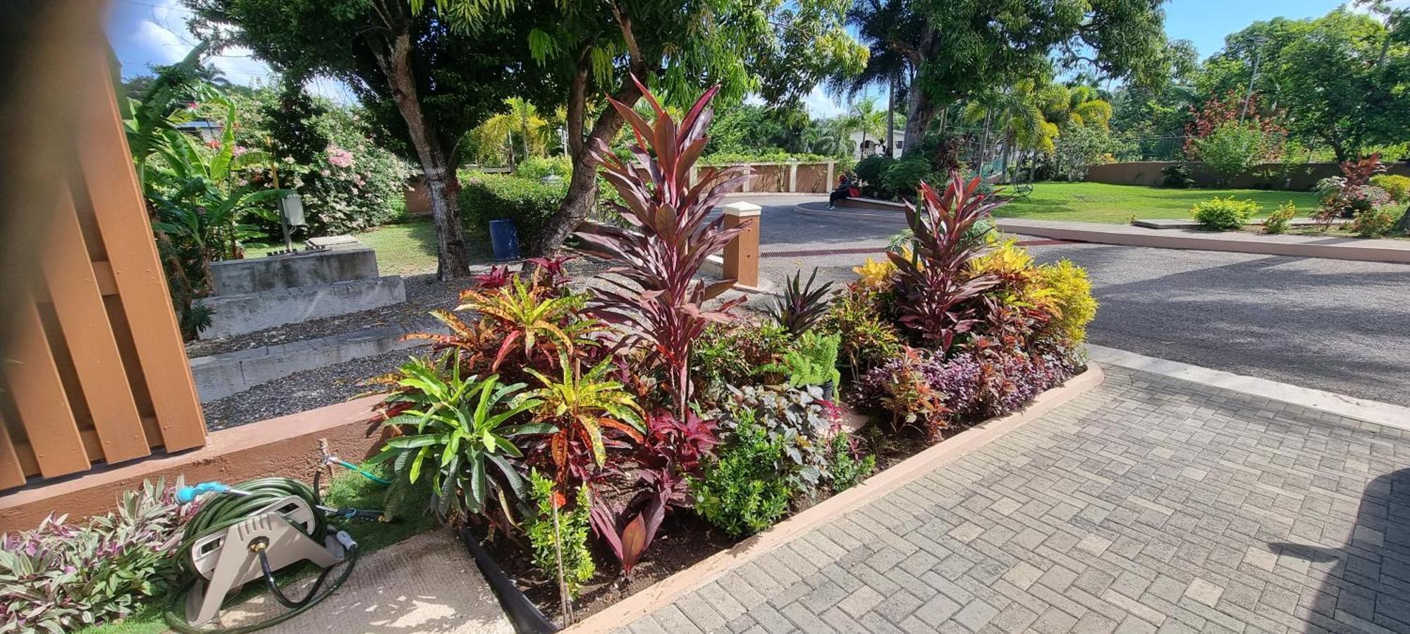 Komfort Getaway Villa At Countrymist Ocho Rios Eksteriør bilde